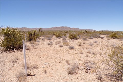 Meadview Land: Off-Grid Opportunity