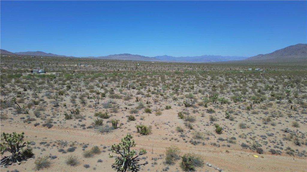 Picture 28