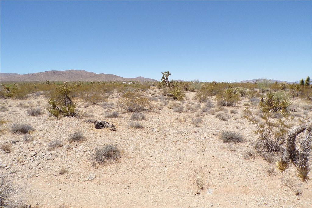 Picture 15