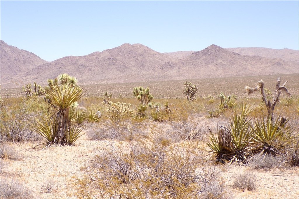 Picture 9