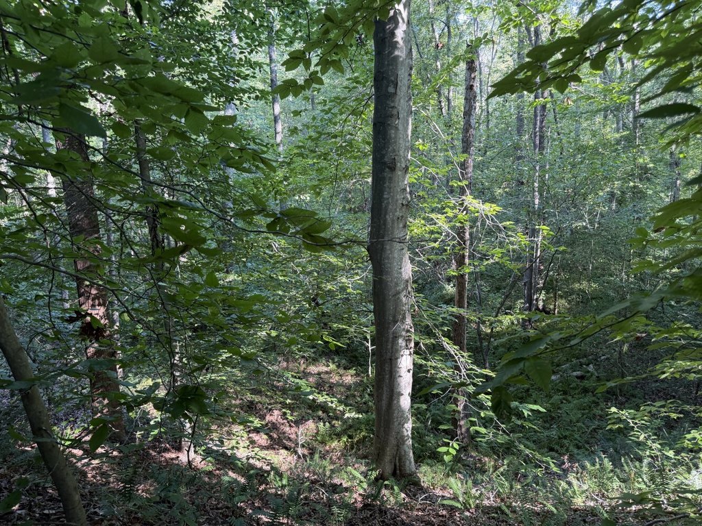 Picture 10