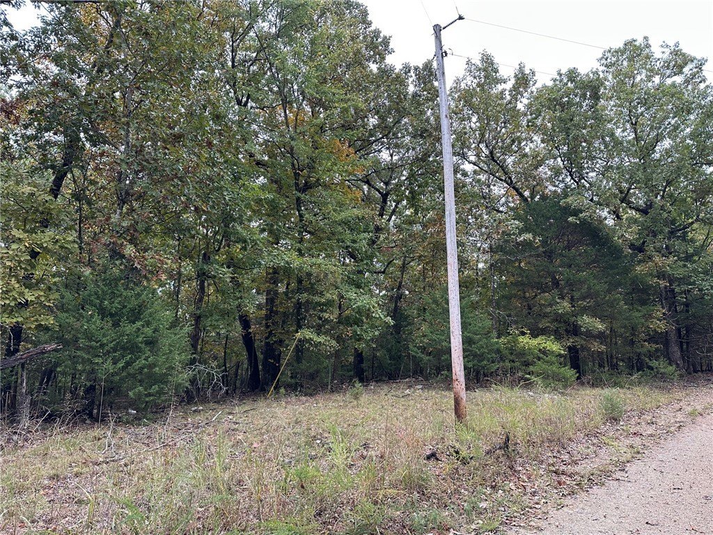 Picture 9