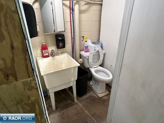 Picture 15