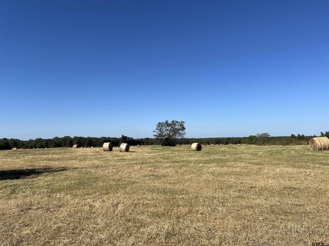 Rural Pasture Tract for Development