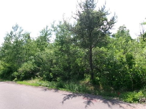 LAND - Hayward, WI