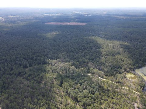 Secluded Timberland Recreation Tract