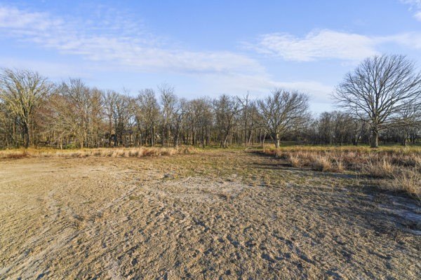 Picture 11