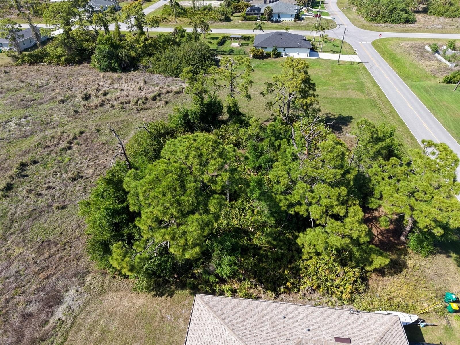 Wooded Lot in Rotonda West