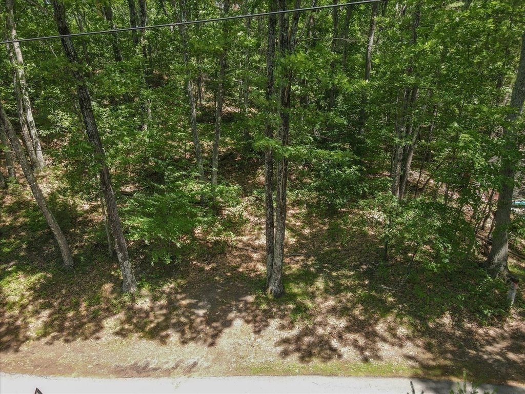 Picture 18