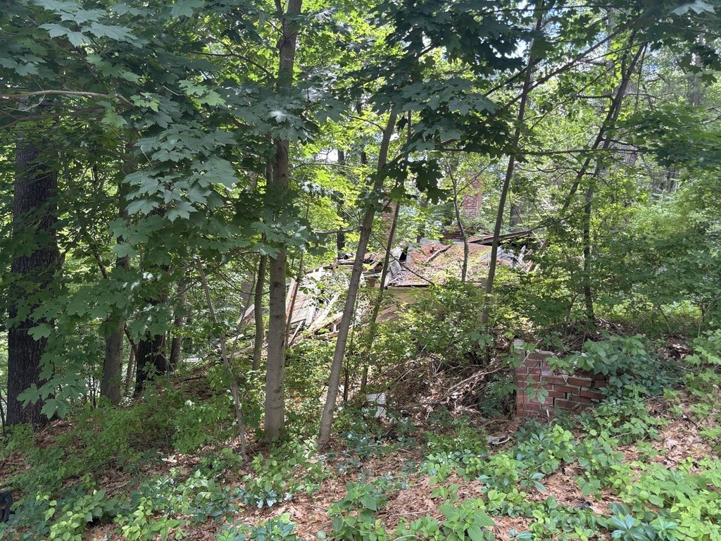 Picture 23