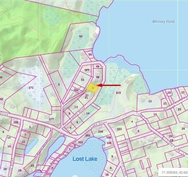 Waterfront Wooded Lot