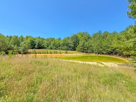 Wooded Recreation Land with Pond
