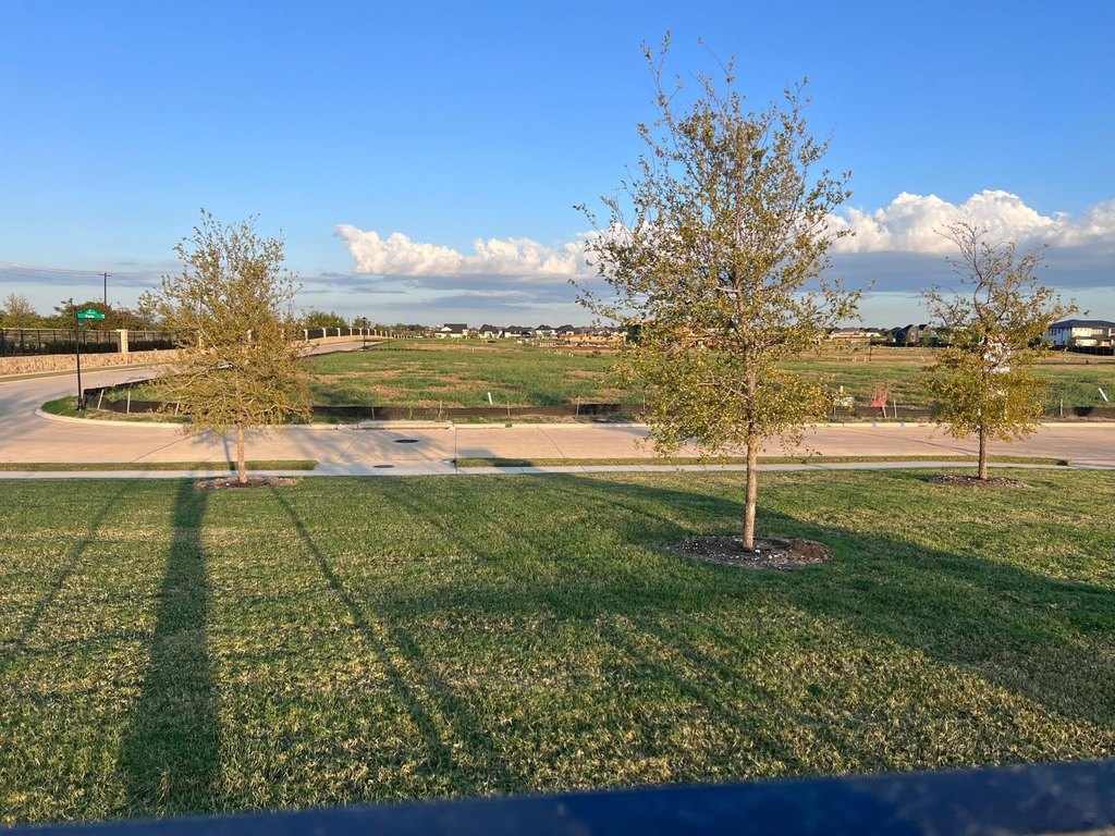 Picture 5