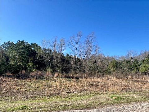 53 Acres of Unimproved Land