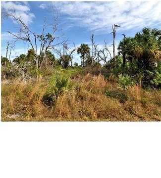 LAND - NORTH PORT, FL