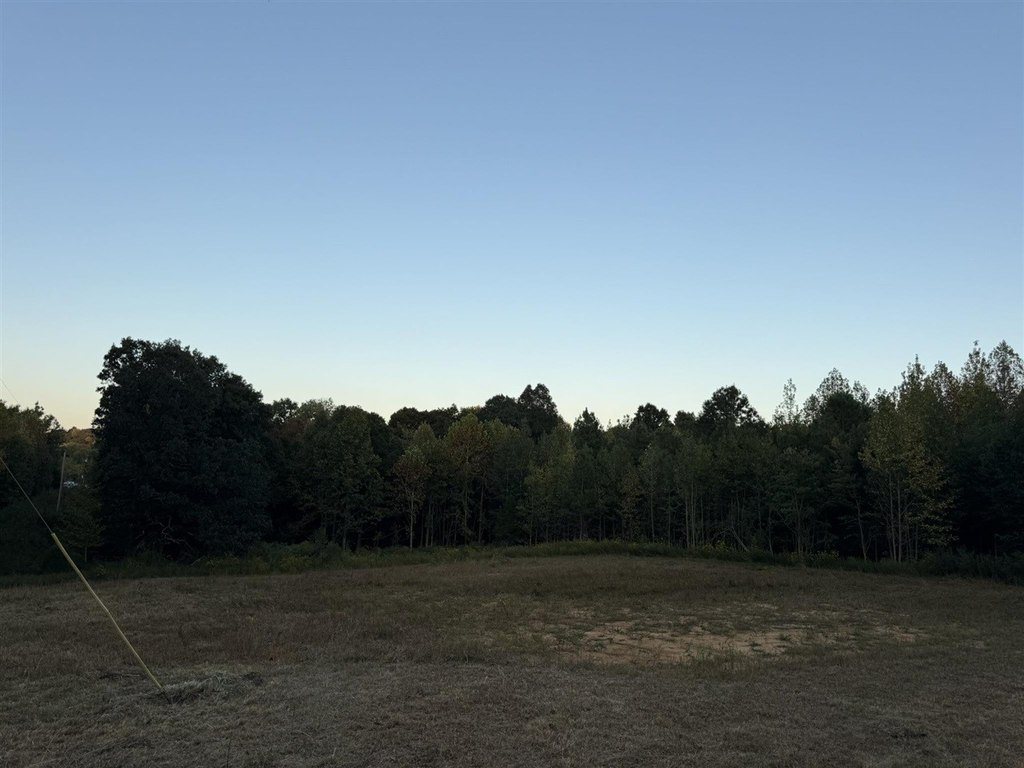 Picture 8