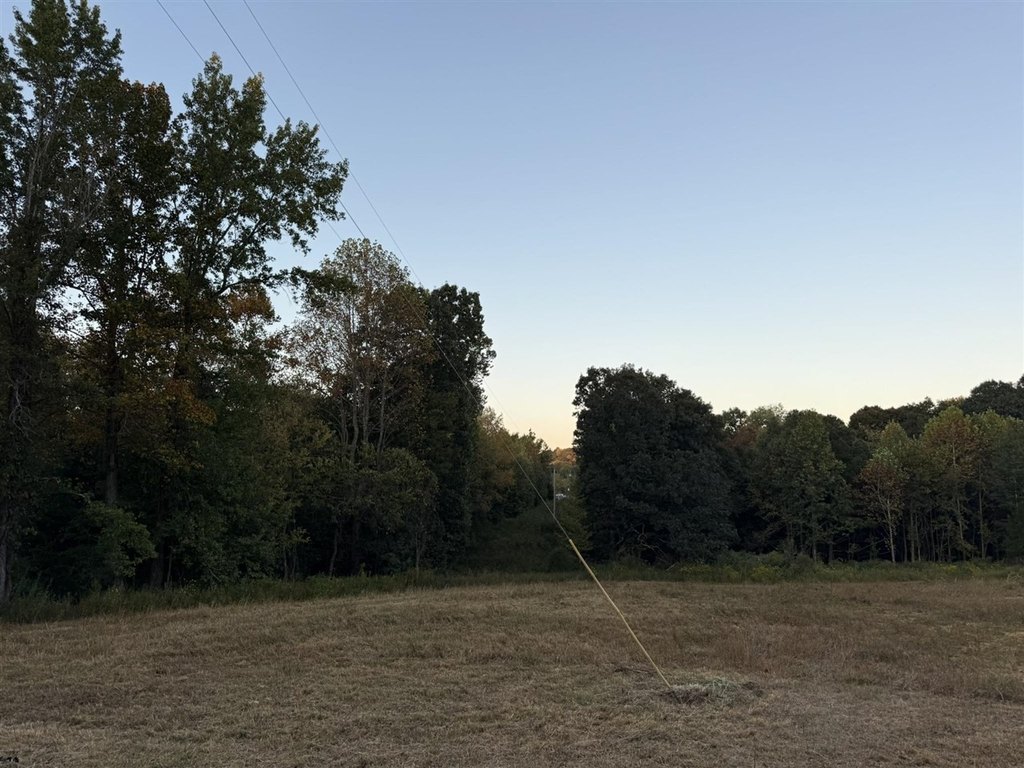 Picture 10