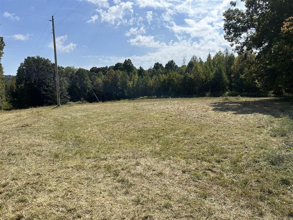 Picture 13