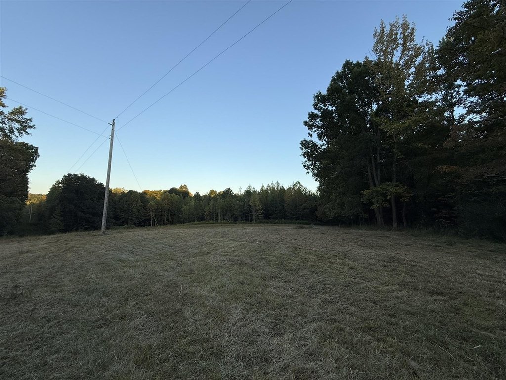 Picture 21