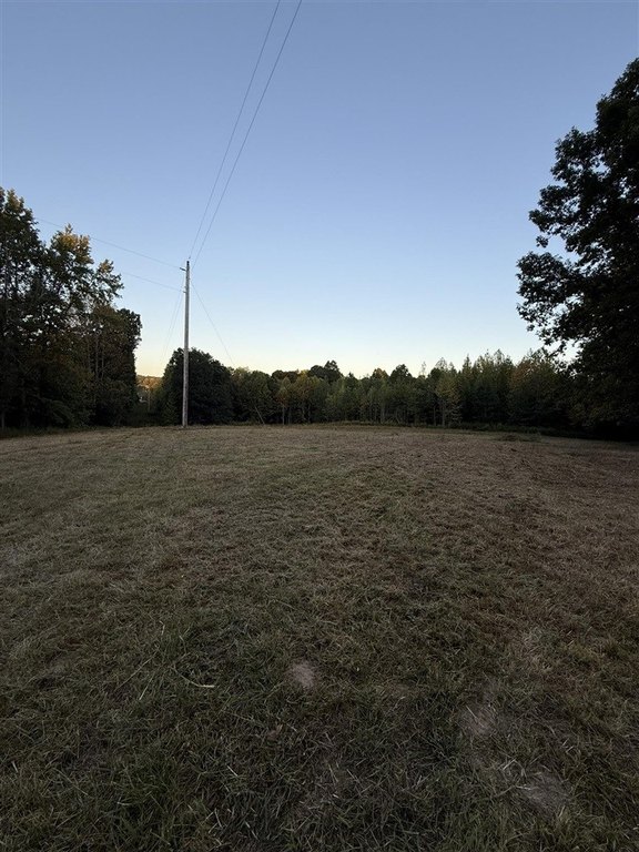 Picture 7