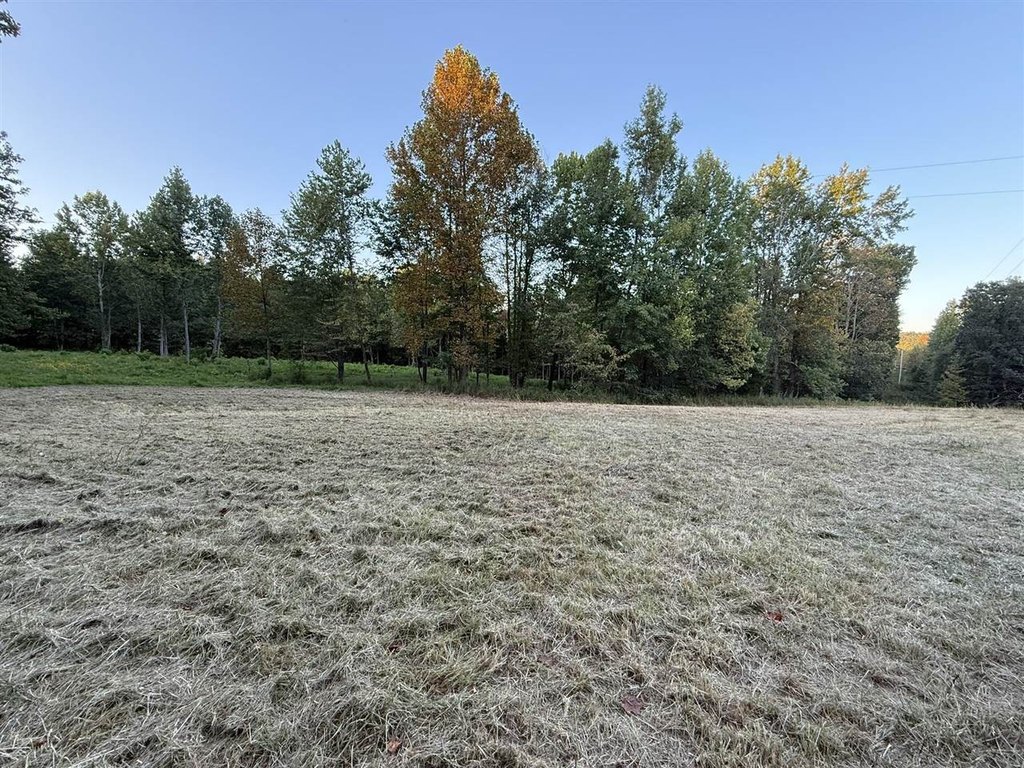 Picture 20