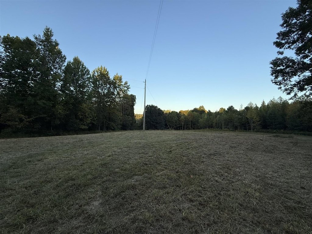 Picture 18