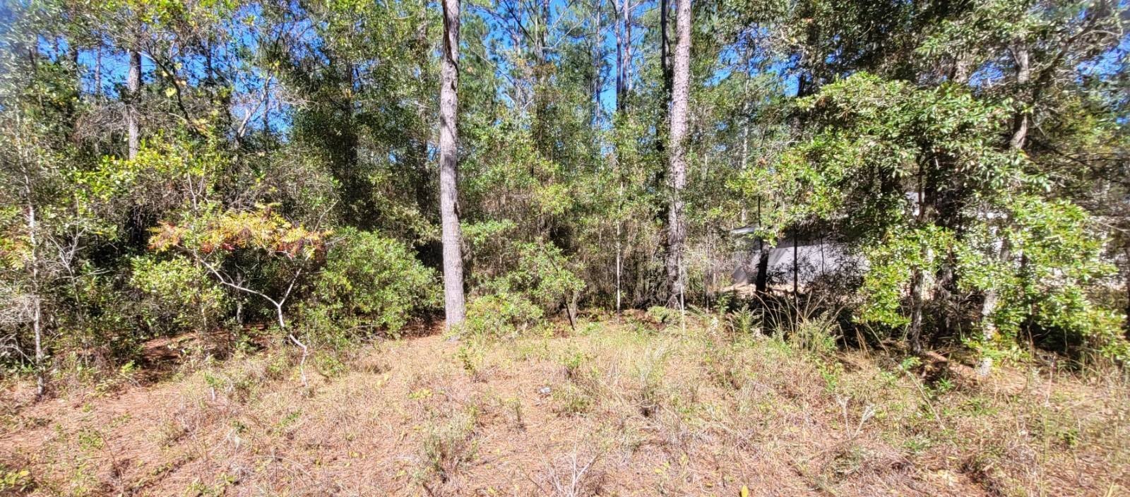 Citrus Springs Vacant Residential Land