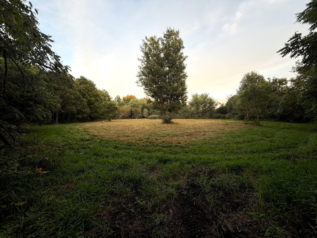 Picture 18