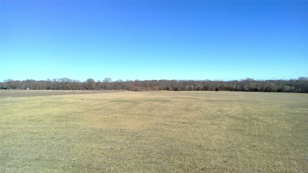 Picture 7