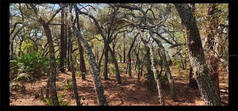 LAND - BROOKSVILLE, FL