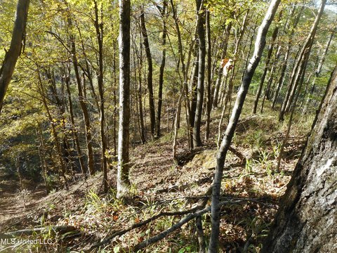 Yazoo County Land for Sale