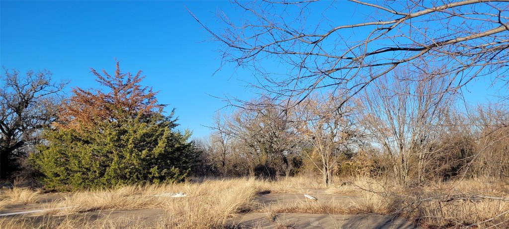Picture 19