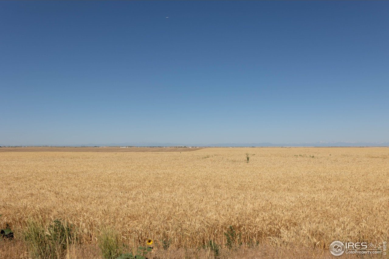 210 Acres of Farmland