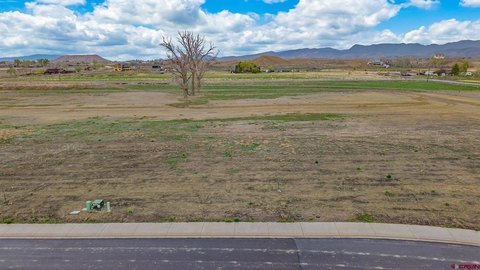 LAND, Montrose, CO