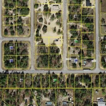 Land, CITRUS SPRINGS, FL