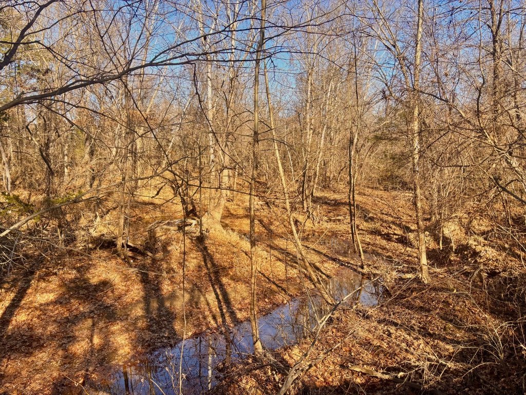 Picture 27