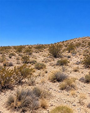 Land, 29 Palms, CA