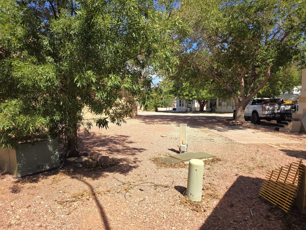 Picture 11