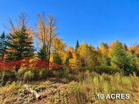 Vermont Land Ideal for Homestead