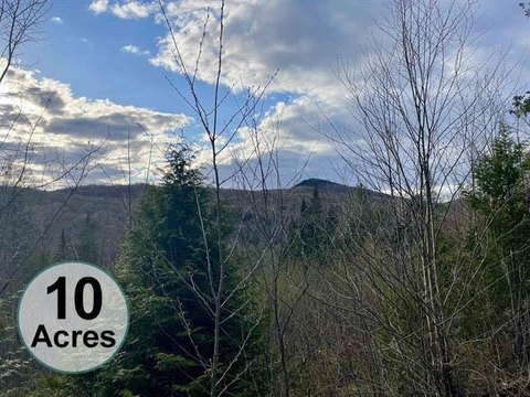 Vermont Land Ideal for Homestead
