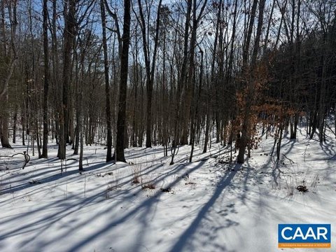 Timber and Recreation Land