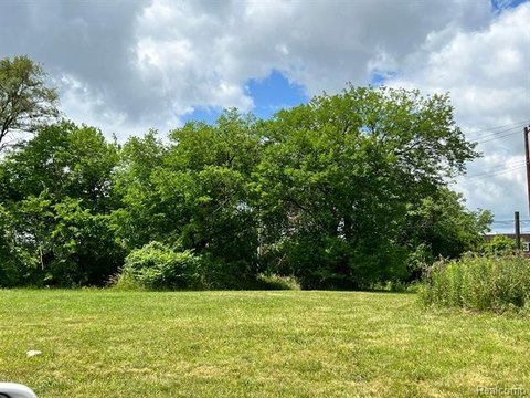 Detroit Land - New Build Opportunity