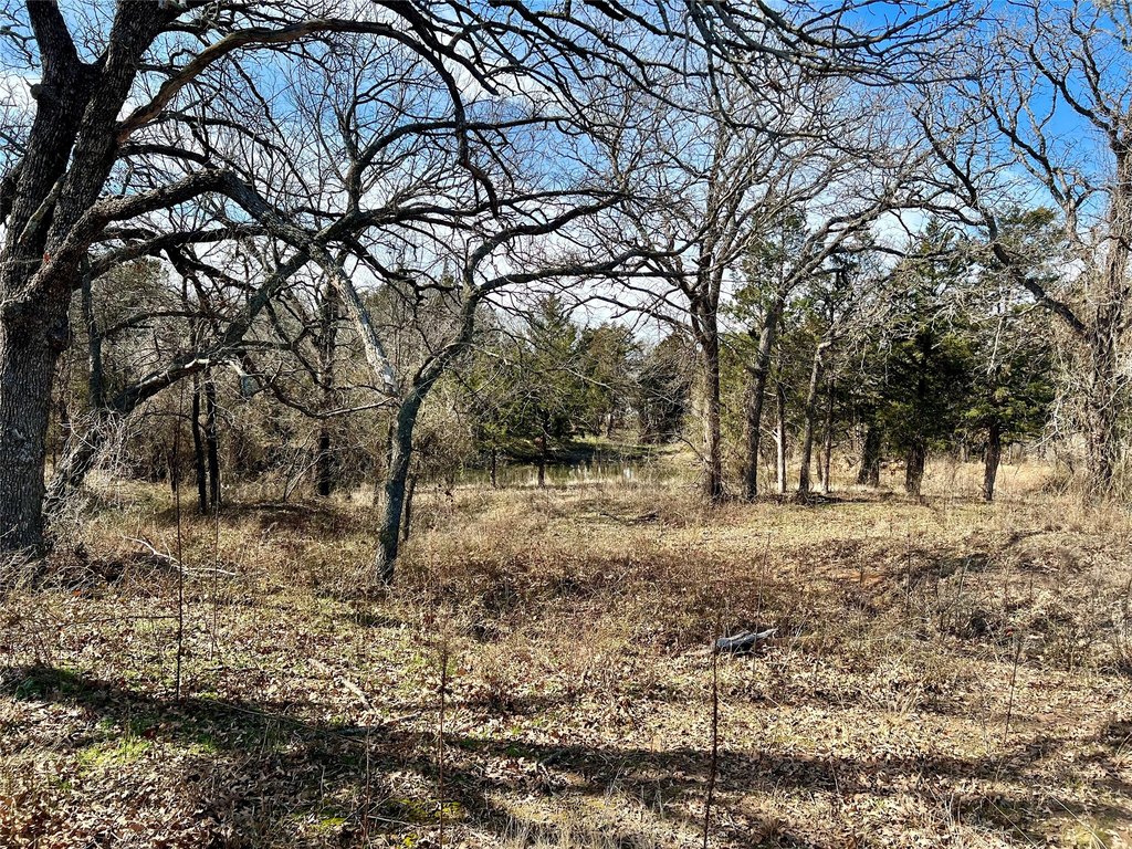Picture 5