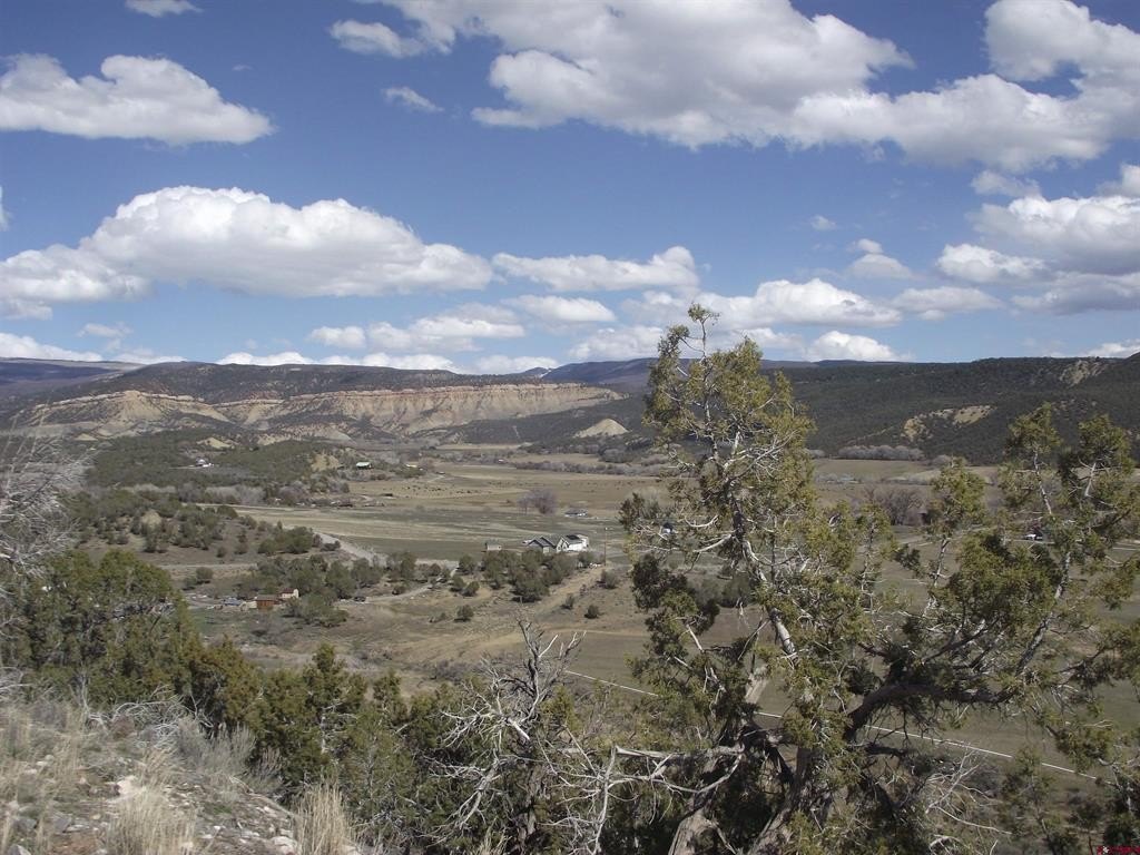 Land in Cedaredge, Colorado