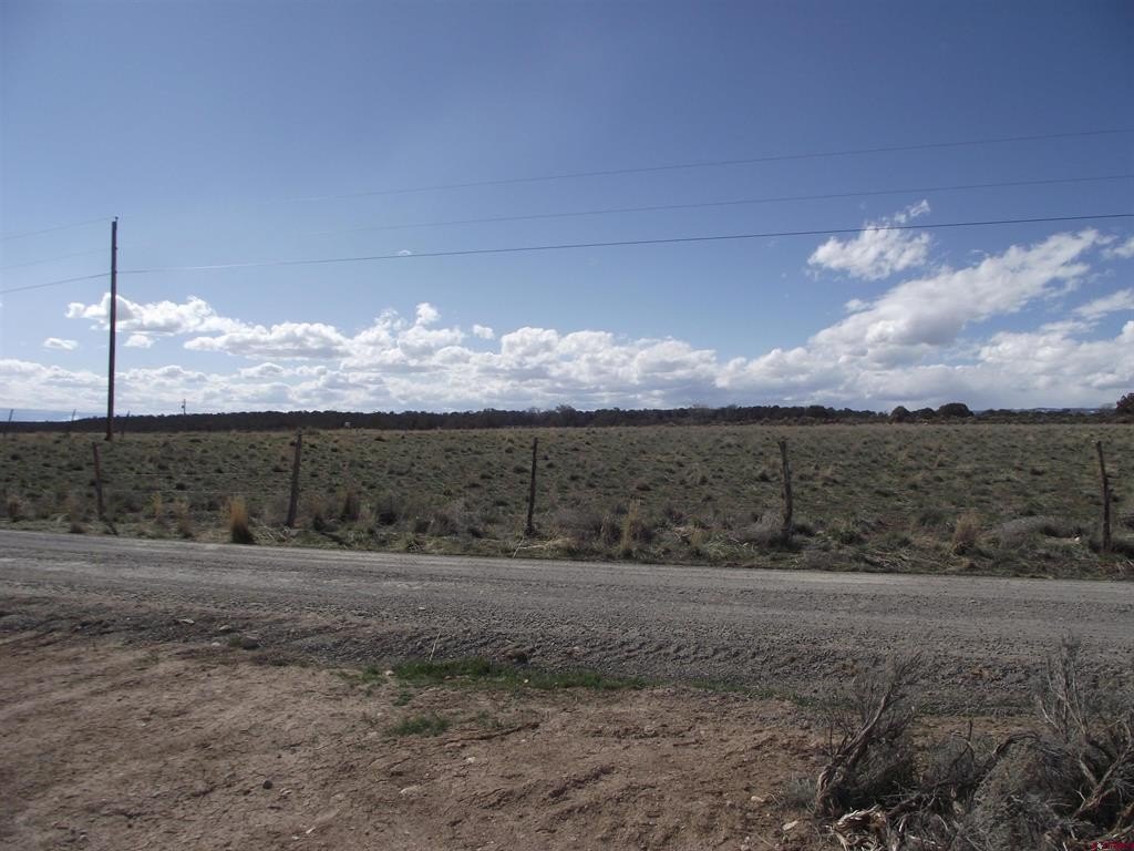 Picture 20