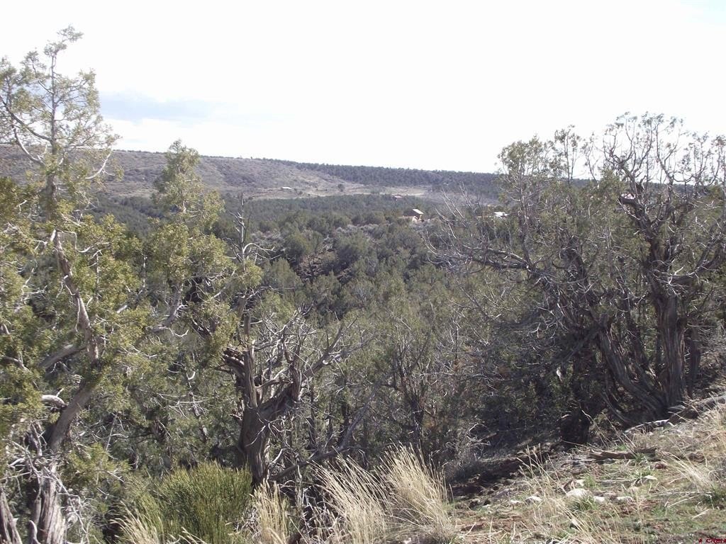 Picture 28
