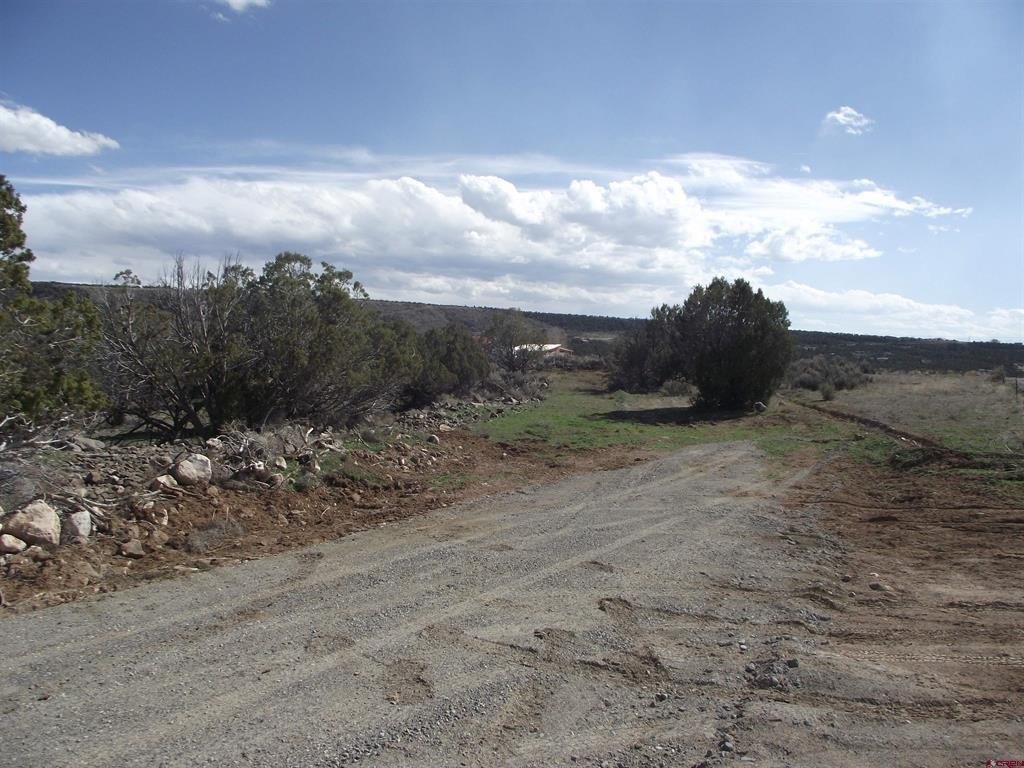 Picture 17