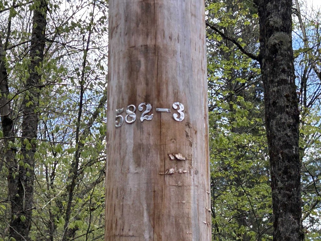 Picture 38