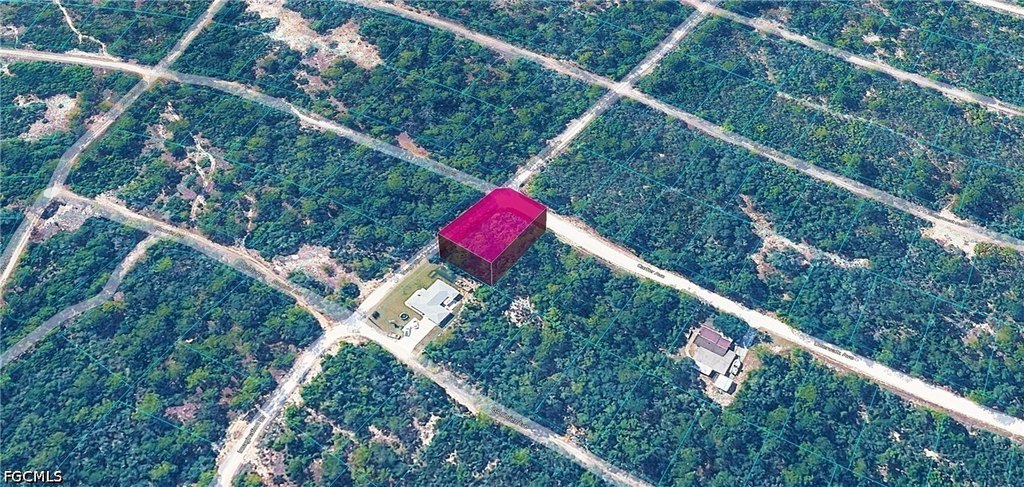 Picture 4