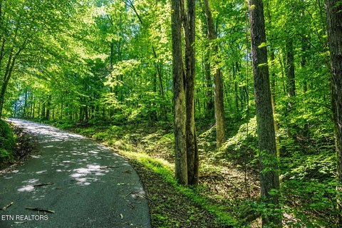 LAND - Sevierville, TN